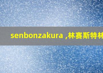 senbonzakura ,林赛斯特林的